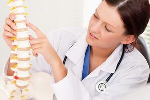 врач показывает грудной остеохондроз на макете